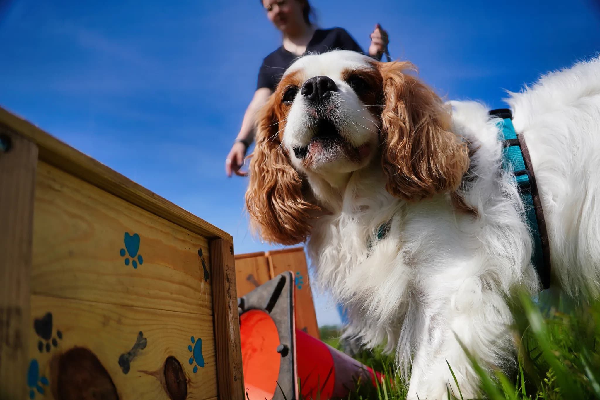 Snuffel Playground