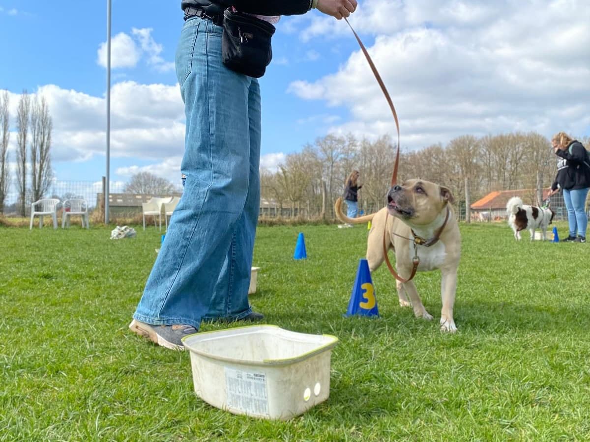 Themales spelletjes & trucs — beeld 2