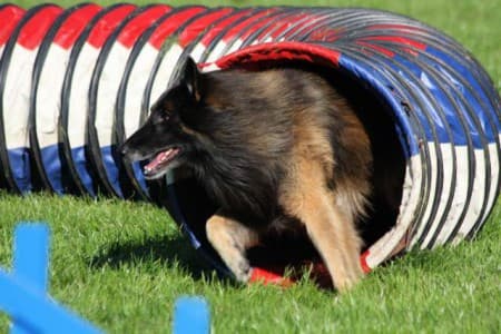 Sport & Spel — beeld 3