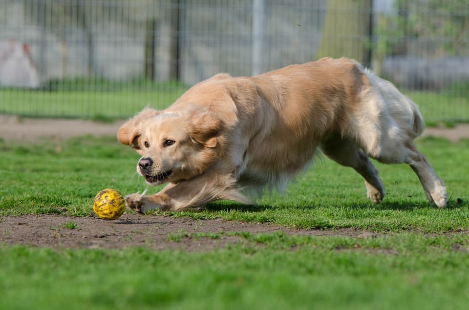 Sport & Spel