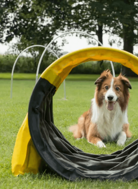 Cursus Hoopers