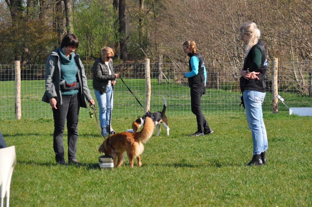 Speuren en Dectectie Spin en Kwispel