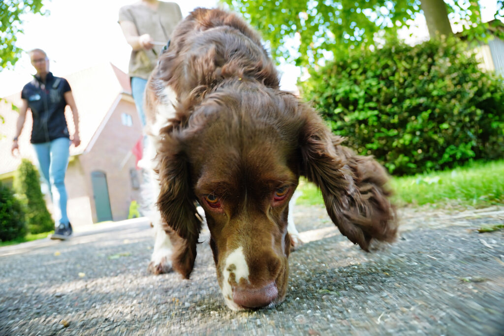 Neusspel Spin&Kwispel